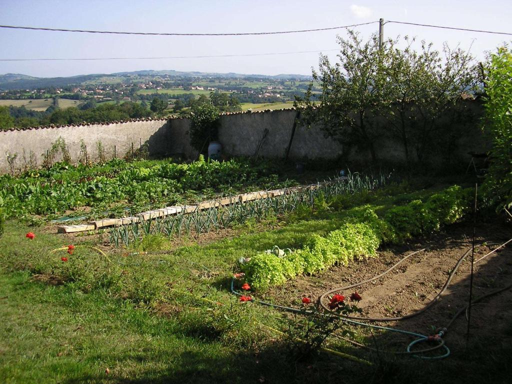Chez Jacotte Et Elia Bed & Breakfast Saint-Galmier