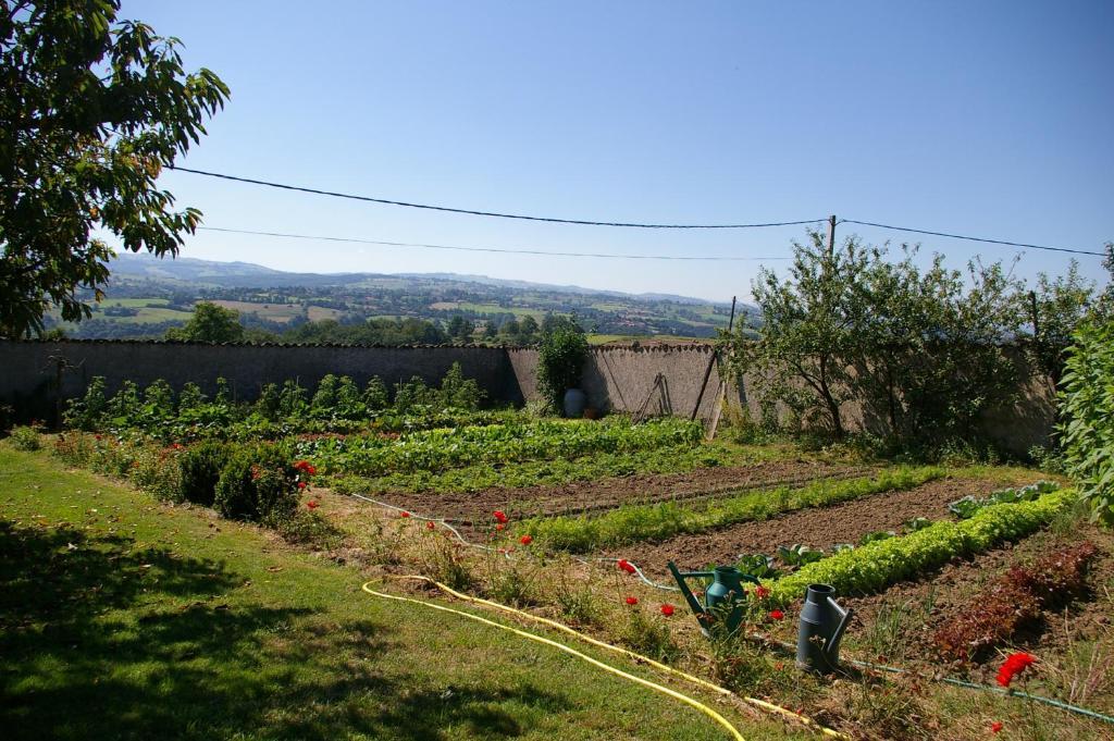 Bed & Breakfast Chez Jacotte Et Elia Saint-Galmier